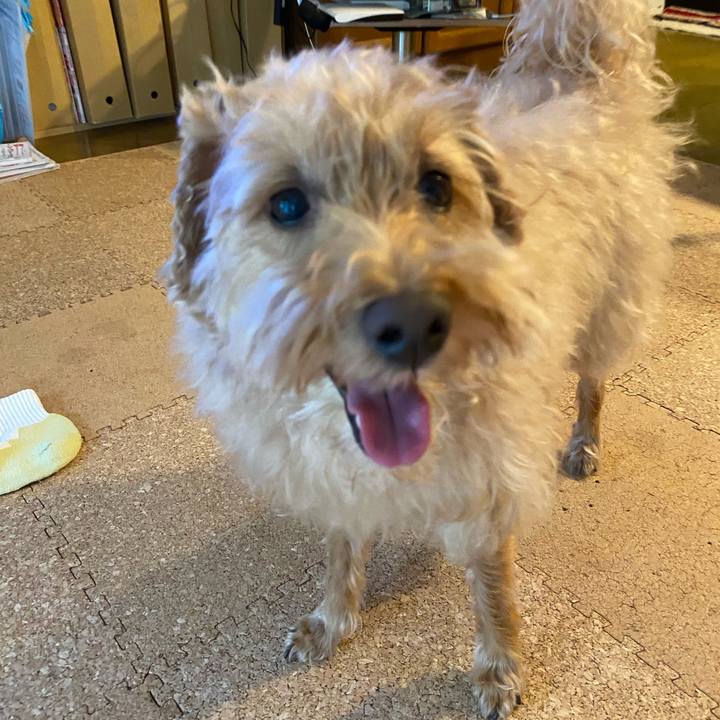 348b848e b930 4a71 a908 5e437cd90495 1661899378715