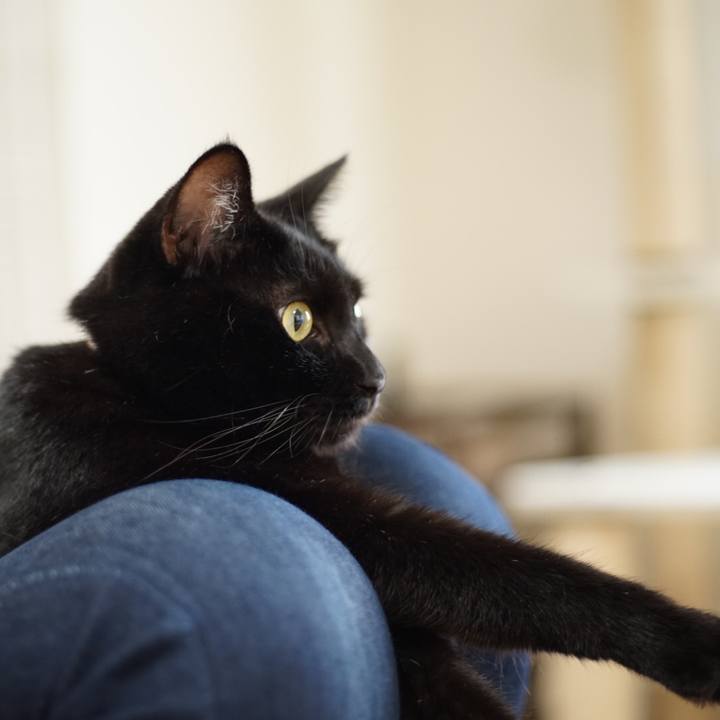 348b8ce8 3bb8 416c a8d7 cd7bc2f90db5 1532647940958