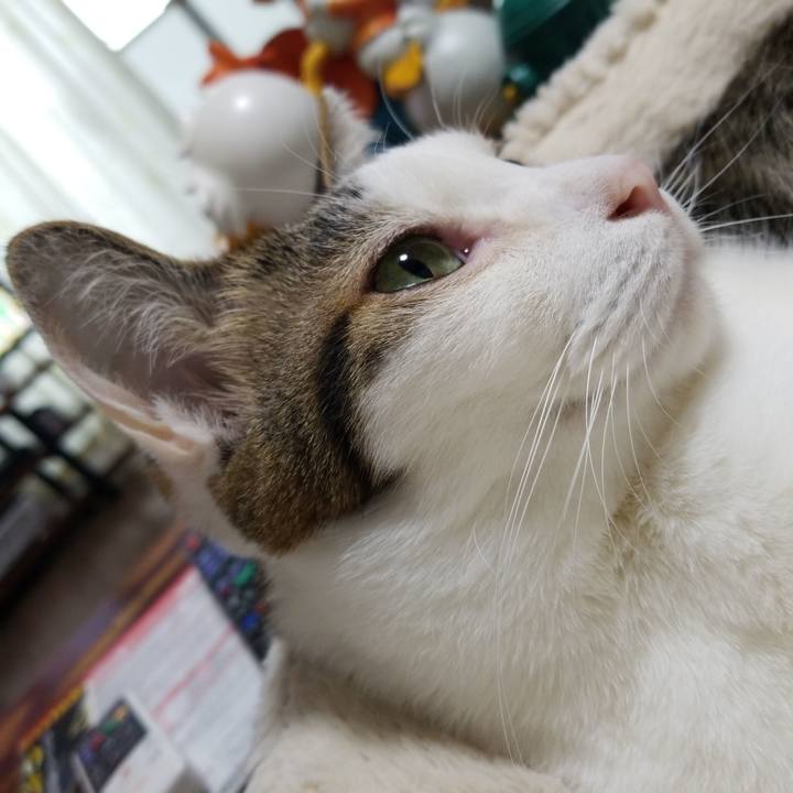 348b9633 7bd3 4766 9bd6 382e051a7325 1587169561843