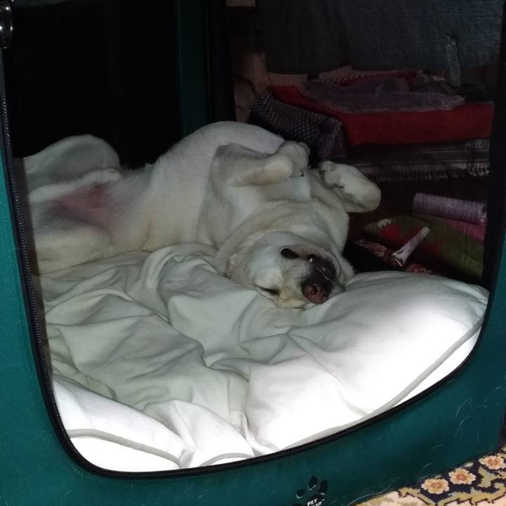 348bb398 61f2 4e9a b2e5 fdd73082276b 1528641089583