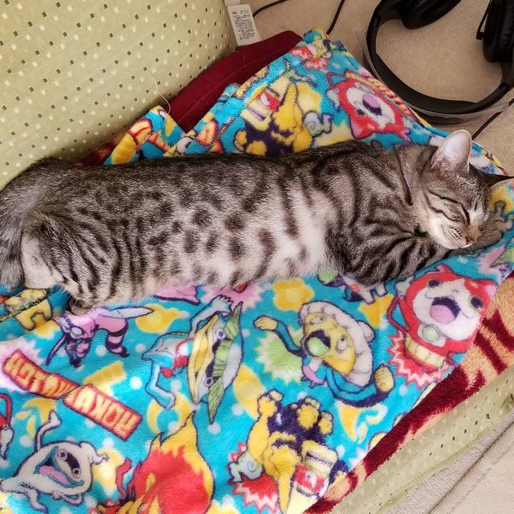 348bfad4 93c7 4dfa 81d4 3e9f2eaae4be 1676468952778