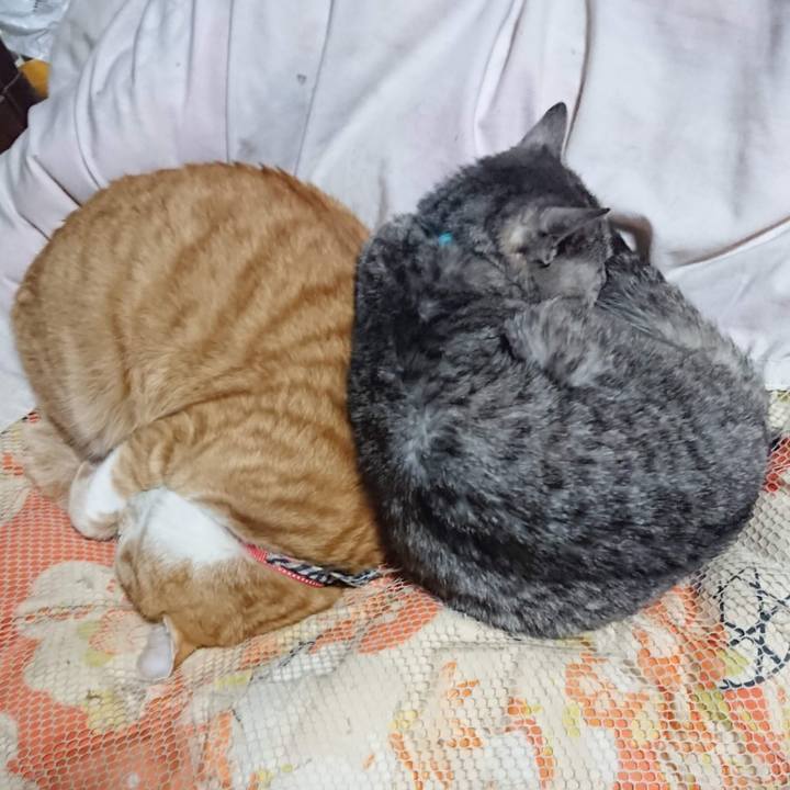 348c3185 8d4a 491a a80b 498579621e95 1606733816504