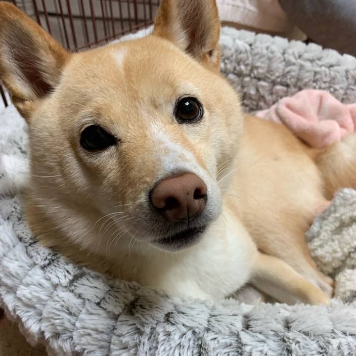 348c75a2 7f02 4d43 a73f 353ef3c666c5 1634901796582