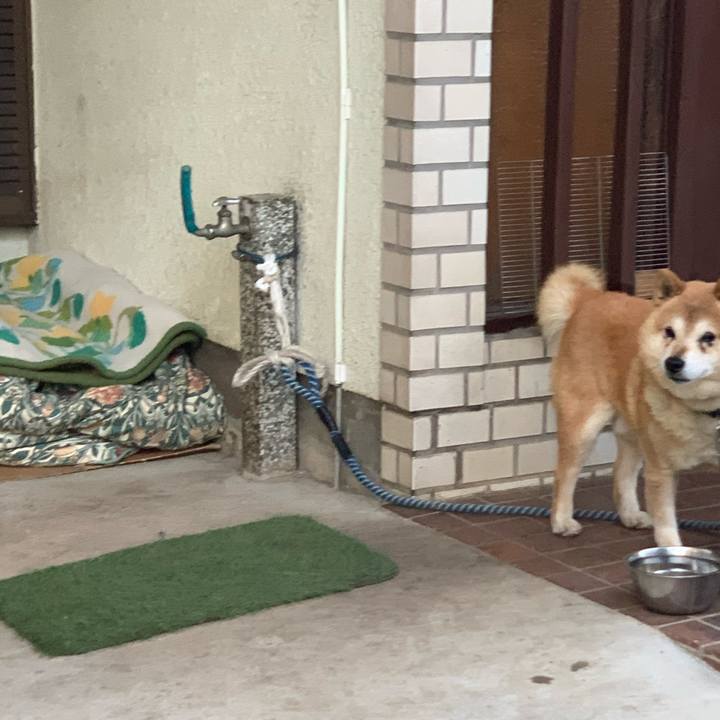 348c8927 5958 4eb4 8c7a 8b978fb807d2 1575948857265