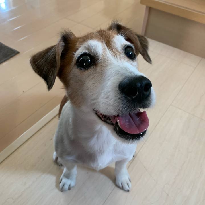 348c9a76 6630 4908 a04d 19bb9a3ea55e 1592345019958