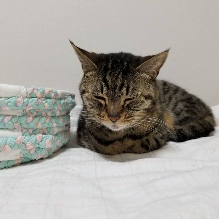 348cf04e f43d 4ee8 b209 31ef85d64dc7 1620595870479