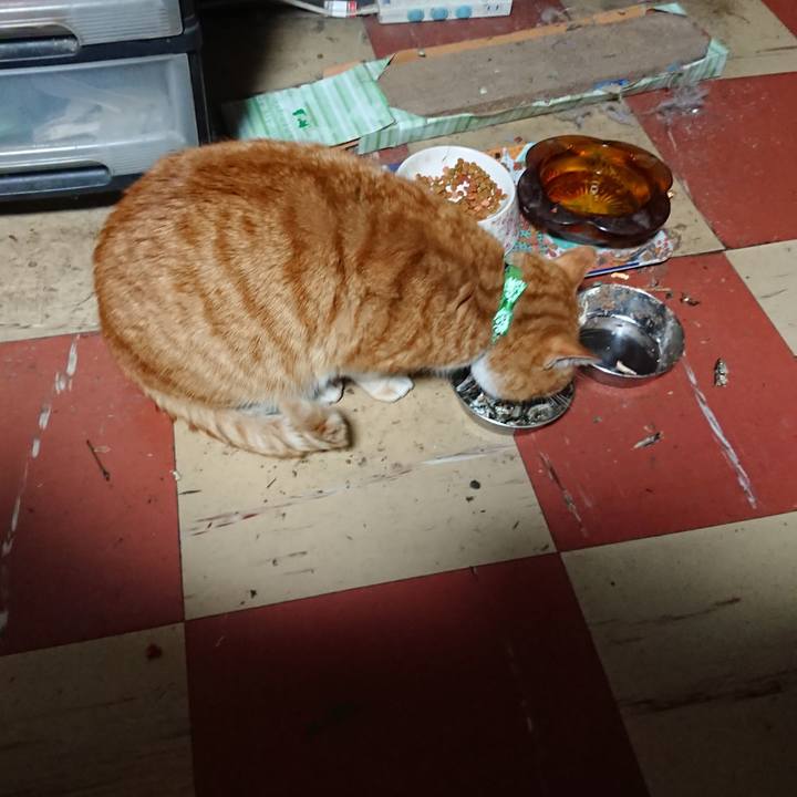 348d0409 4802 4b7e 936d e32335d5e5dd 1579986177116