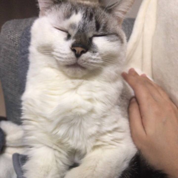 348d1a62 554a 44f1 a1f8 417352b66708 1546181020096