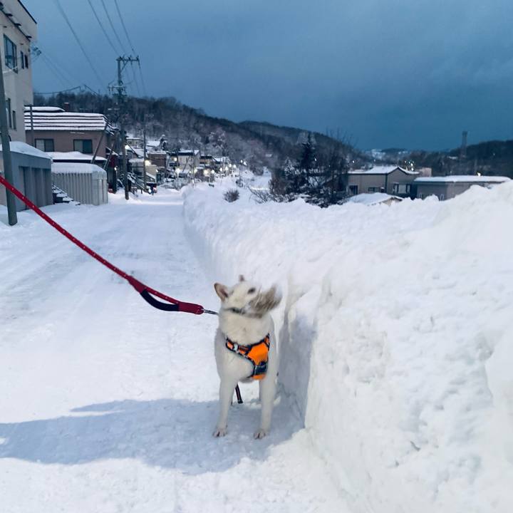 348d487b 6182 4690 b0f0 cd1ee5e1bace 1672351935992