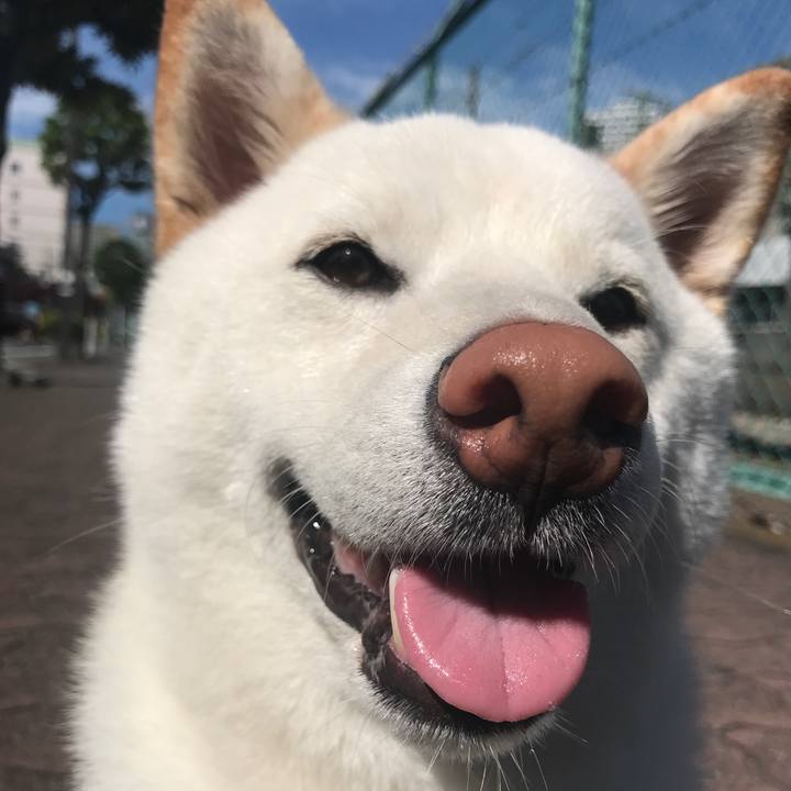 348d6079 ab31 427f 953e 68d1a9388a2b 1523418773645