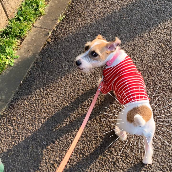 348de4ed 29a1 4db5 b58c 8e4095206d48 1596449077904