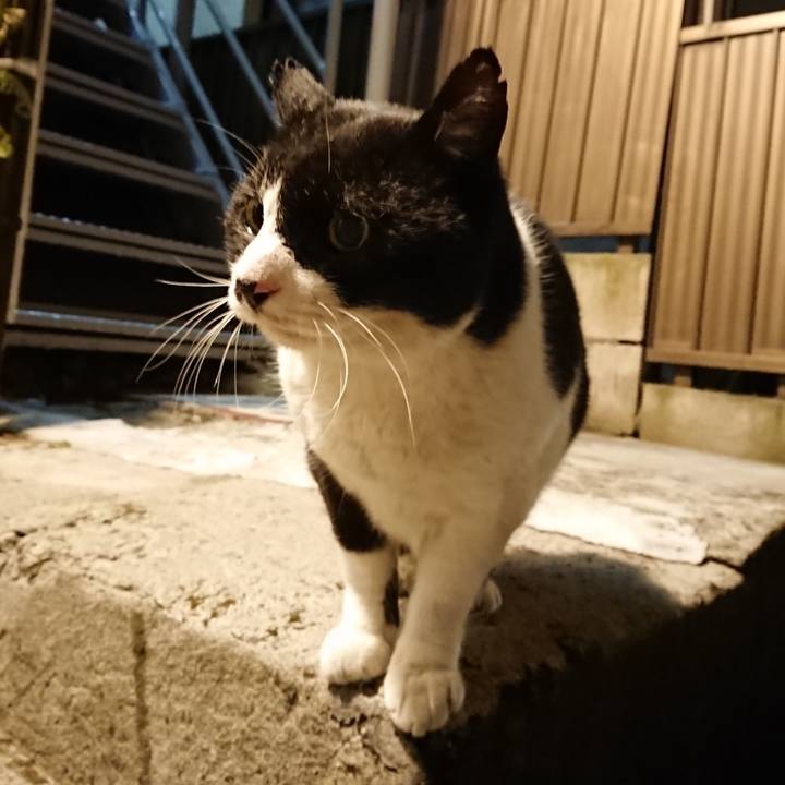 348df244 555b 4b00 90cc 374ae335d5f2 1641371660000