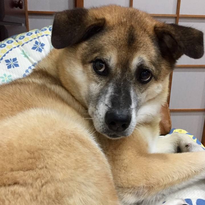 348e53bb d62e 48c0 b26d 8bd6f3d887ec 1598355717239