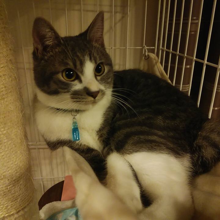 348eb8ab 0448 43d3 a998 cf7e7431cb11 1578018175818