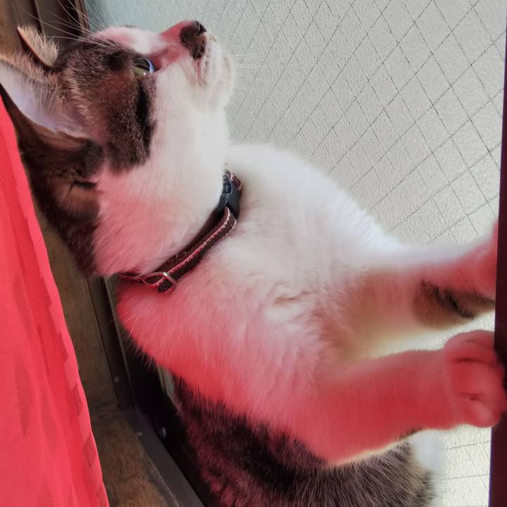 348eba4d ad83 4764 9f1b f8a58be164ea 1621057880312