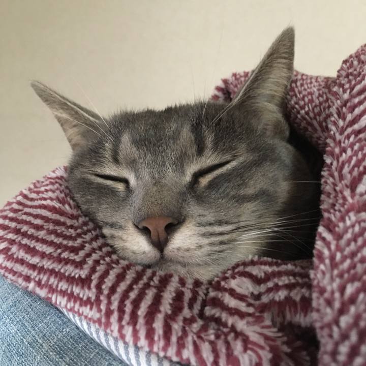 348ec2c8 5632 425b 869a 634f2ca616f5 1509181513611