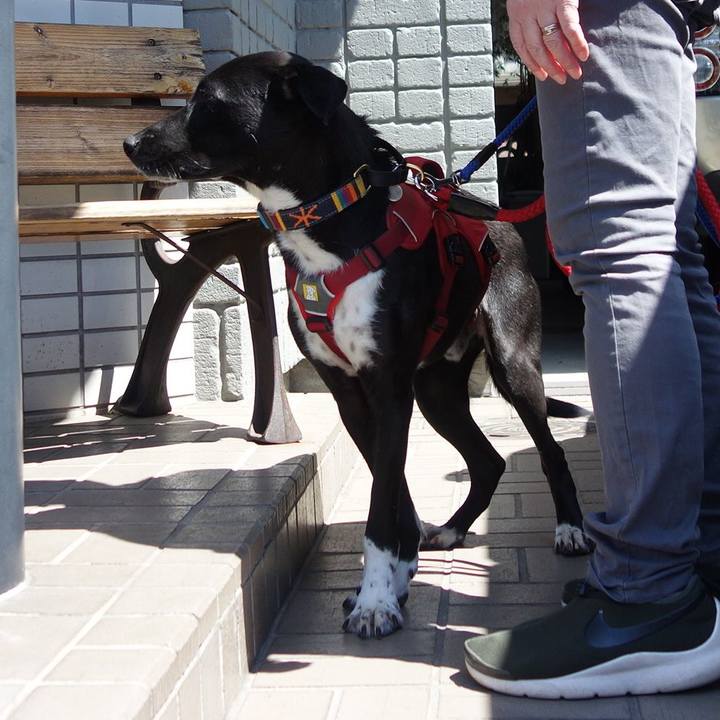 348ecfa4 7195 4b86 a1e5 a1f0af98eb08 1586497178521