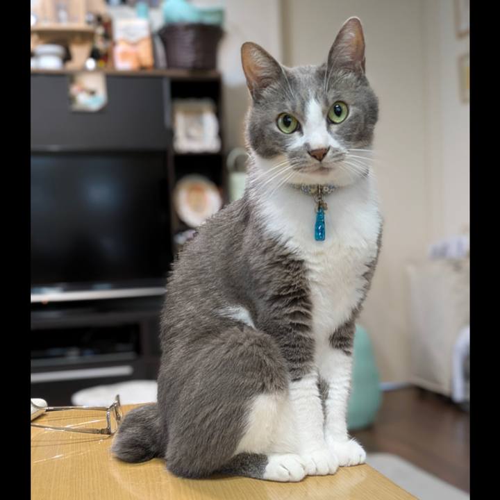 348ede1f e5ed 4017 984a d90807b47dde 1757850583133