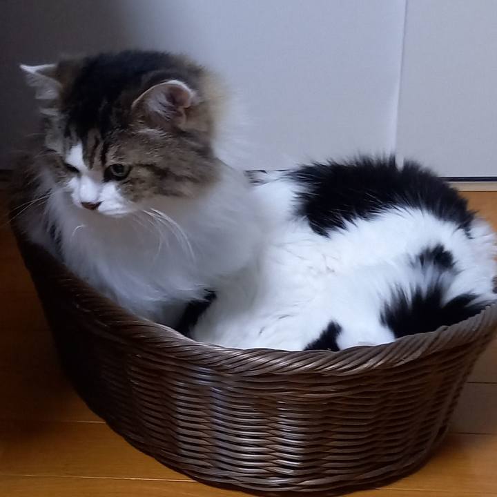 348f1d36 2301 460a acd7 e8619d1223f2 1659991717356