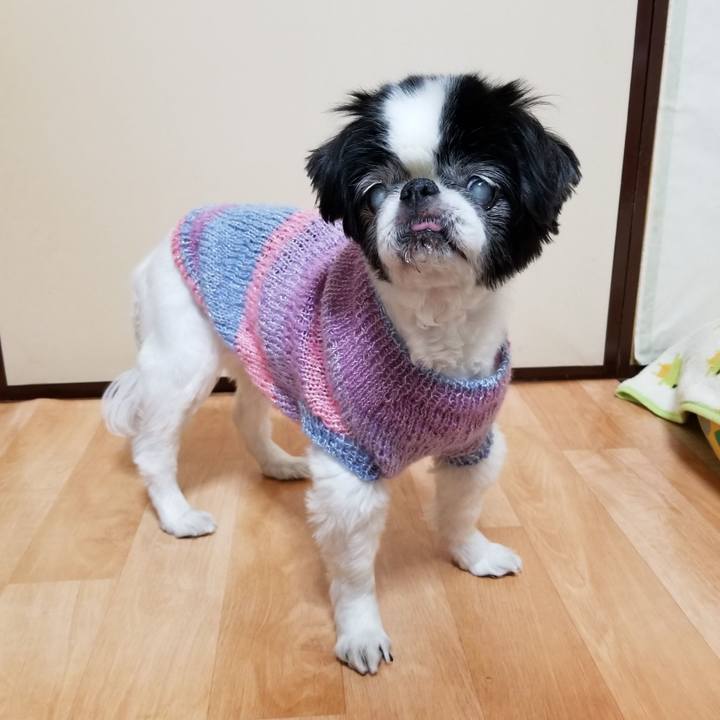 348f568f 2dd8 4492 9a76 0e53aef7dadb 1615630984874