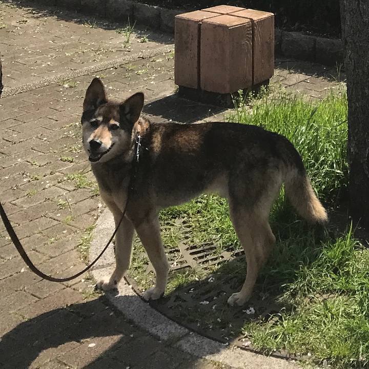 348f7b92 5892 4e54 a98d fe949bed2b9c 1522578962044