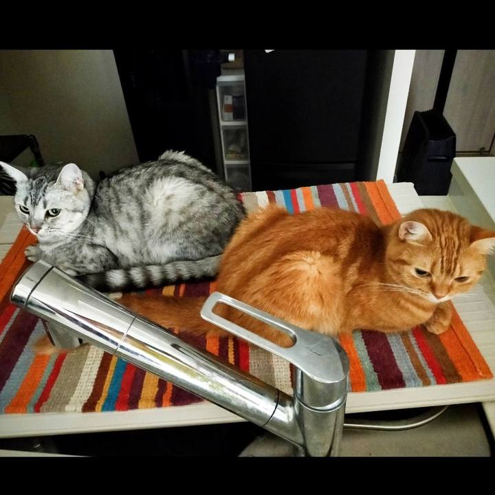 349010c8 2319 4467 886f f97ea671ba67 1600910737225