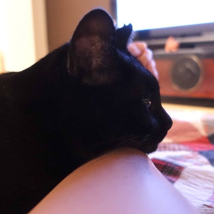 3490292b 333b 40a1 bb2b f04a8c2e64a0 1536664774864