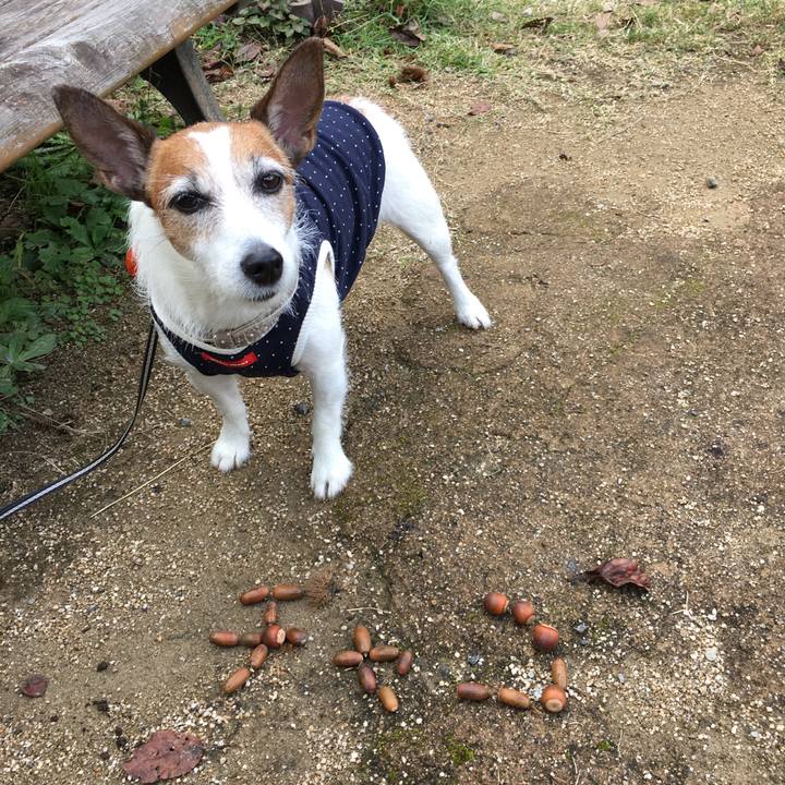 3490a321 a16b 4d98 a800 ac4cb842912b 1603668105151