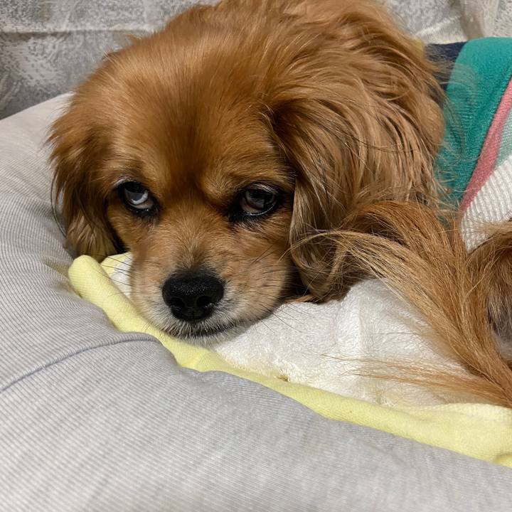 3490c260 6c04 48b7 b8c2 f18aee02181c 1675894965323