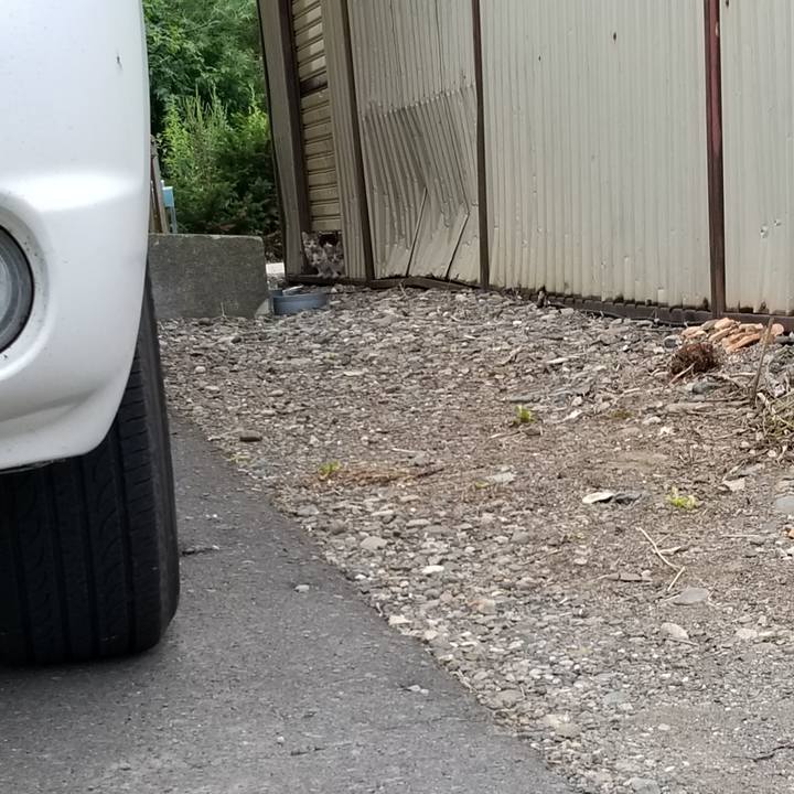 3490da24 eee8 4918 a7ef 19c6524e75c2 1597065960321