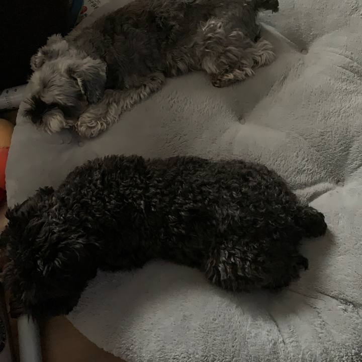 3490ebca 526b 4db9 b9a2 752cb8b54d64 1669269913861