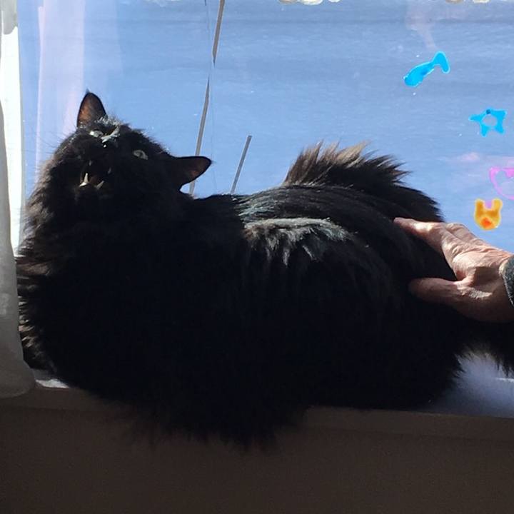 3491043d 706f 497a b870 175251a81a40 1544869988601