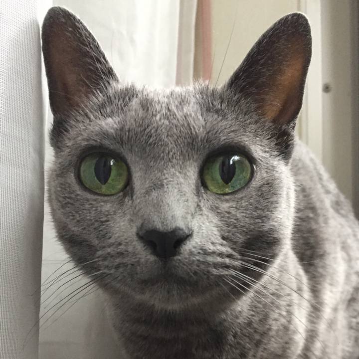 34914441 e314 4f2a 82d7 26259704c25c 1528844412032