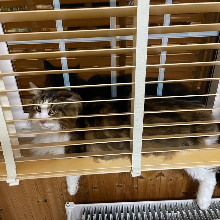 34914cb5 c611 4bcb b2a6 32326f343f93 1712605070278