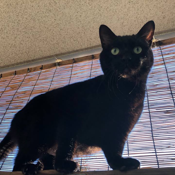 34916da8 ae30 4931 844d 1811e130129e 1610619209499