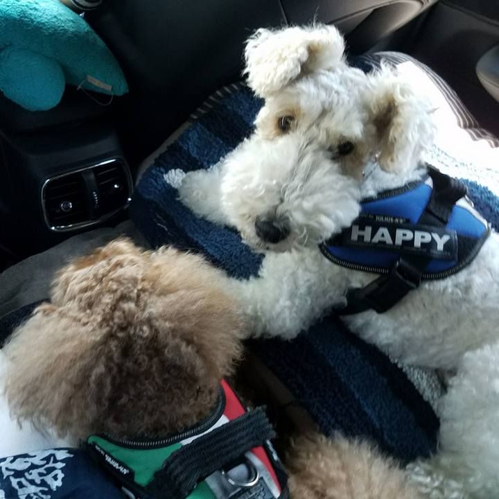 34917202 7d23 4959 900d bf2a60e620c8 1531537980910