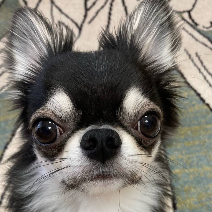 349175e1 3476 4d39 90a3 abcc54f57a31 1624055035105