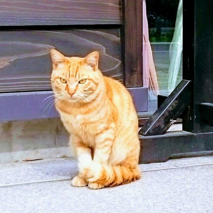 34918d03 fa83 43b4 8b6d b9f8604ddeb6 1525167387479