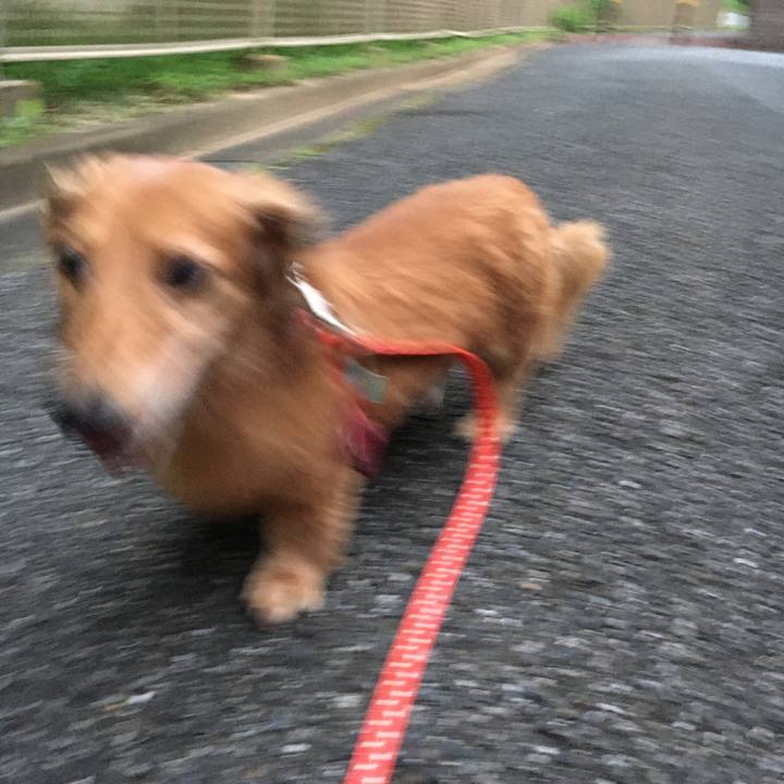 3491b5e8 0c84 4e3e ab8d 747a4b2817c4 1596456261310