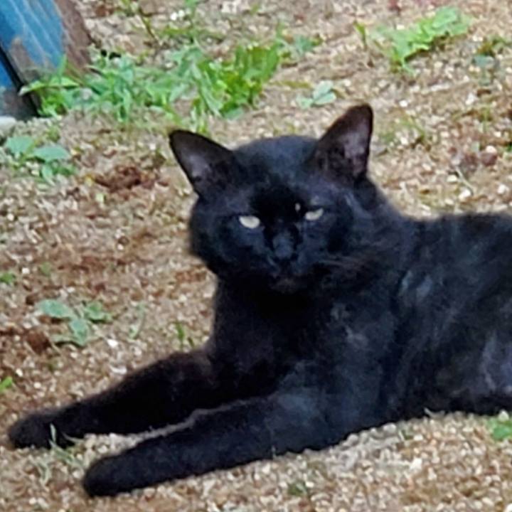 3492175a 1235 4487 893f 83facfd920eb 1683371816604