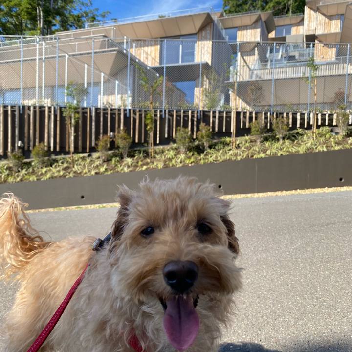 34922d98 4b0c 487c ad91 ab13d0ffc48d 1662267097150