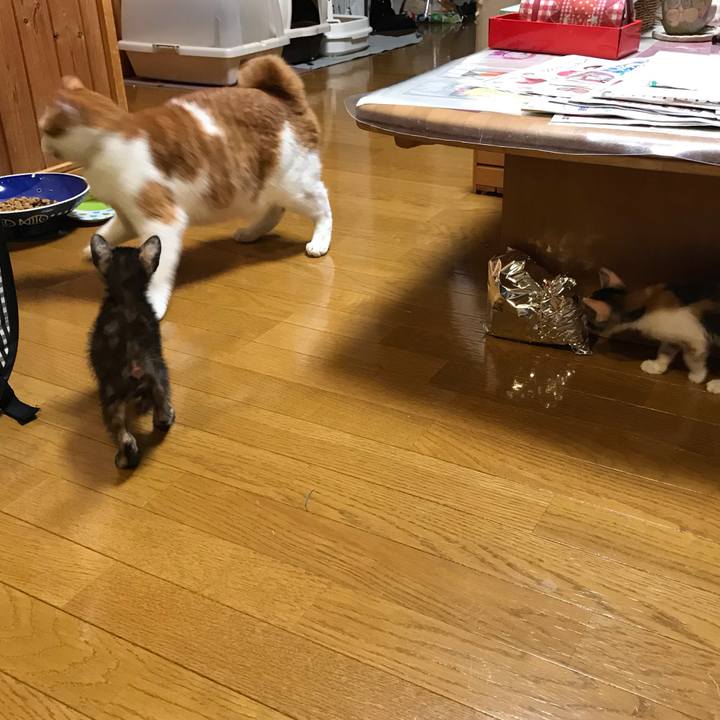 34926e6a ebd5 4284 a623 24ac892f133a 1596881621617