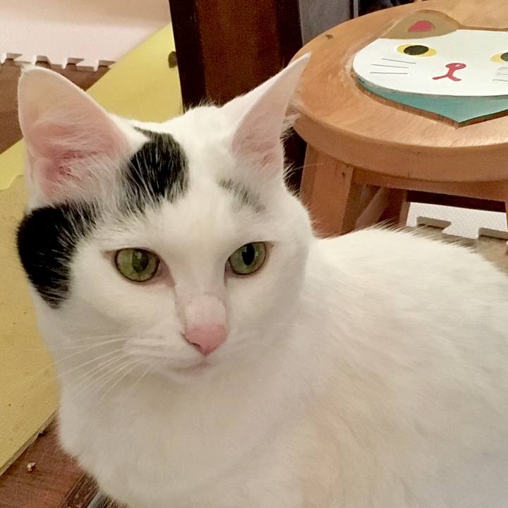 34927804 17cf 413f 8a53 60dd10bbc84d 1575358063892