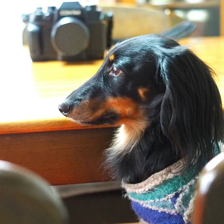 34929a01 aaba 42ee 93e6 51be76418c9f 1517797029690