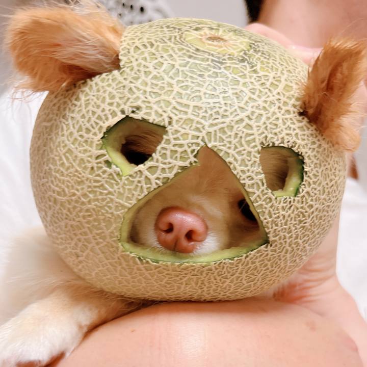 34929fc9 5254 4aba 99c2 88d85025e012 1655555063507