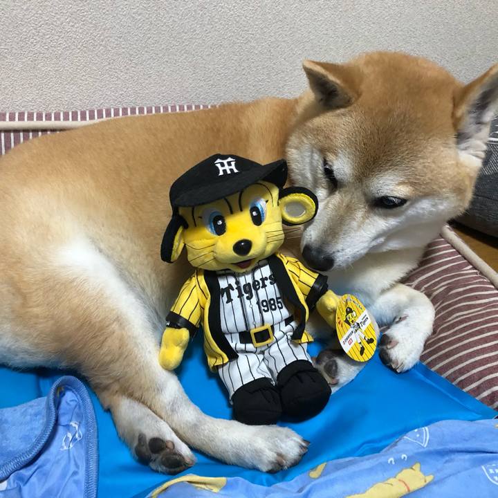 3492b757 e8ca 4141 a316 a1542a901d2b 1593263889997