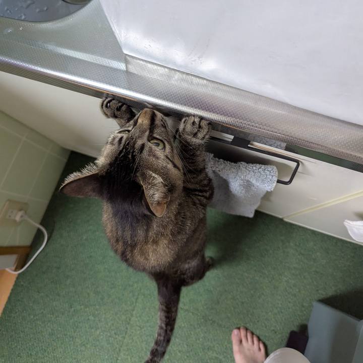 3493356b 058b 4d86 97c1 c8fb8bfe9bfd 1757229196087