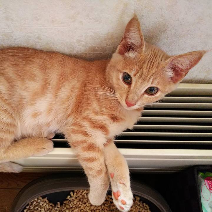 34934288 1ea7 4f2d 8fef f51496ffa820 1541804211078