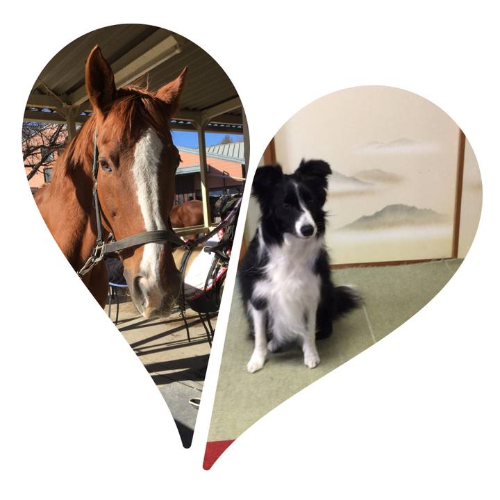 349349e6 3e00 47f1 b424 4d2a7db60052 1518563453107