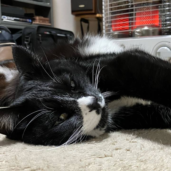 349368fc 2db7 4574 abb0 16b42b102a03 1744171012342